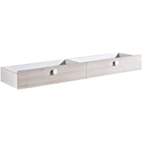 Miroytengo Cajonera para Parte Inferior de Cama Juvenil configurada en 2 cajones con Ruedas Color Blanco Mate y Efecto…